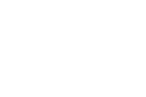 Wild Streak Gaming logo