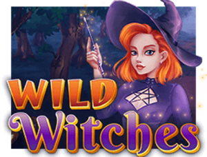 Wild Witches (Amatic Industies)