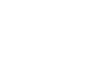 WMG logo