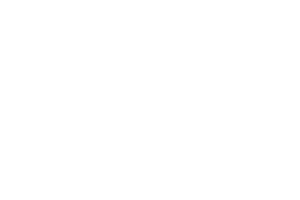 WMS logo