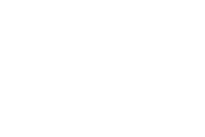 World Match logo