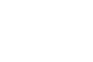 Zitro logo