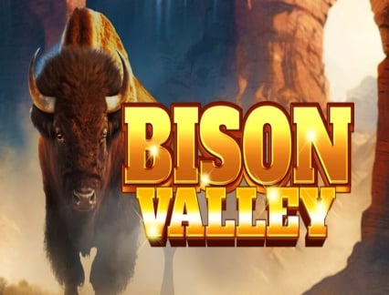 Bison Valley logo