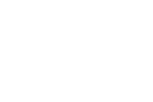 Amusnet Interactive logo