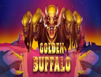 Golden buffalo logo