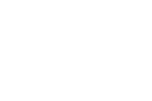 Hammertime logo