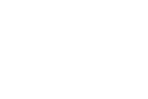 Reel Time Gaming logo