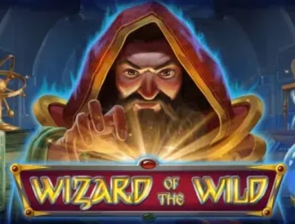 Wizard of the Wild logo