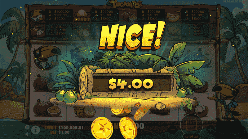 Tucanito Slot Winning Payout