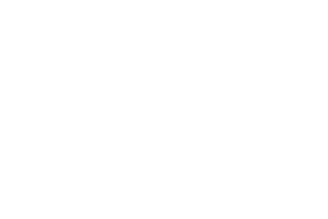 Yggdrasil Gaming logo