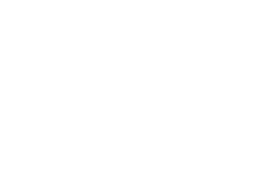 Yggdrasil Gaming logo